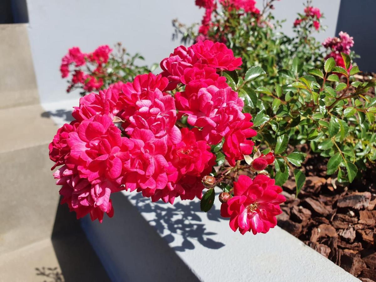 Appartamento Casa Atlantico Dachterrassengeschoss Ribeira Brava Esterno foto