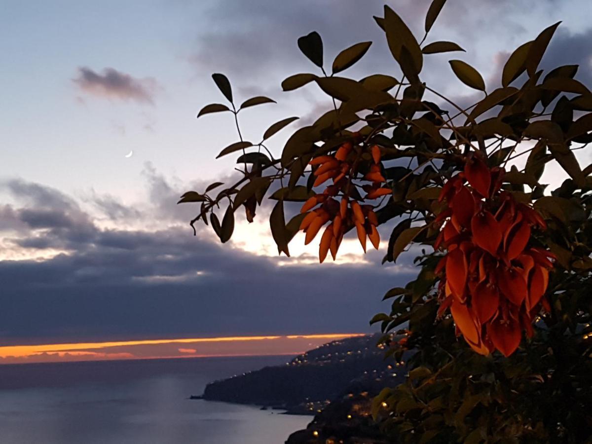 Appartamento Casa Atlantico Dachterrassengeschoss Ribeira Brava Esterno foto
